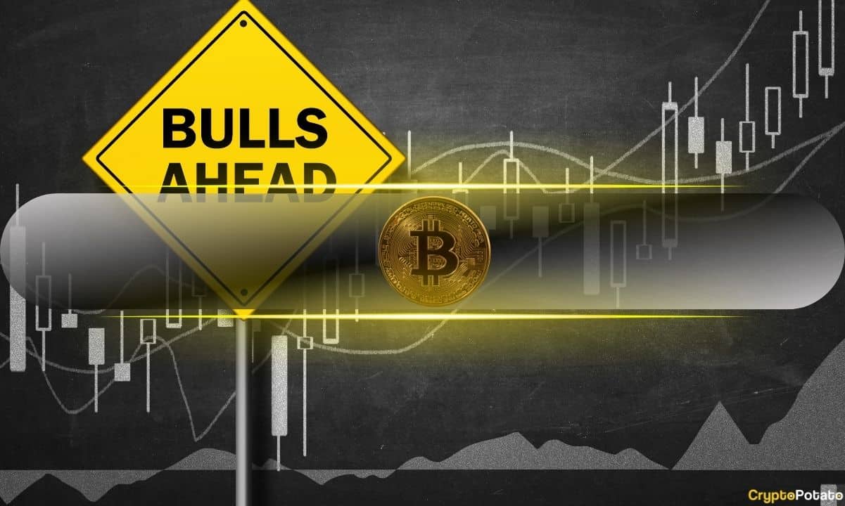Unexpected Market Twist: Experts Predict Soaring Bull Run Amidst Chaos