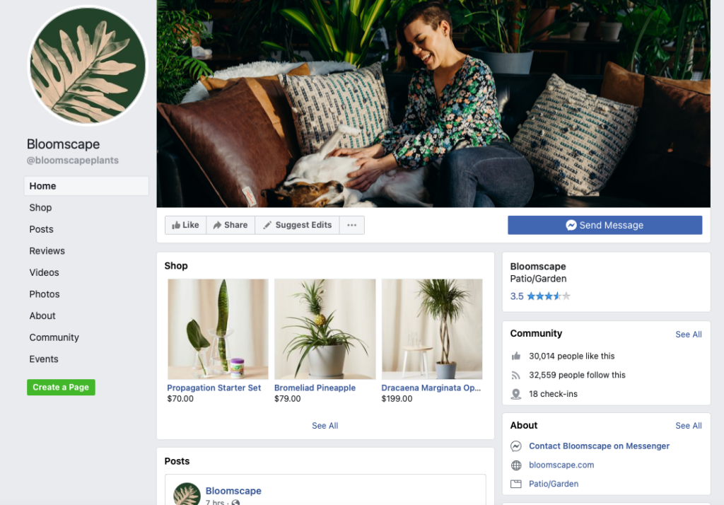 Unlock Hidden Opportunities: Master a Facebook Audit in Just 30 Minutes!