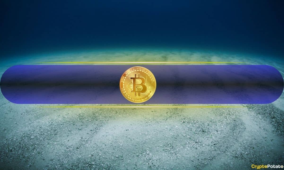 Could Bitcoin's Mysterious Bottom Be Closer Than You Think? Early Signals Reveal Surprising Clues
