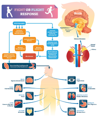 Silent No More: The Haunting Voice That Refused to Leave My Mind—and How I Broke Free