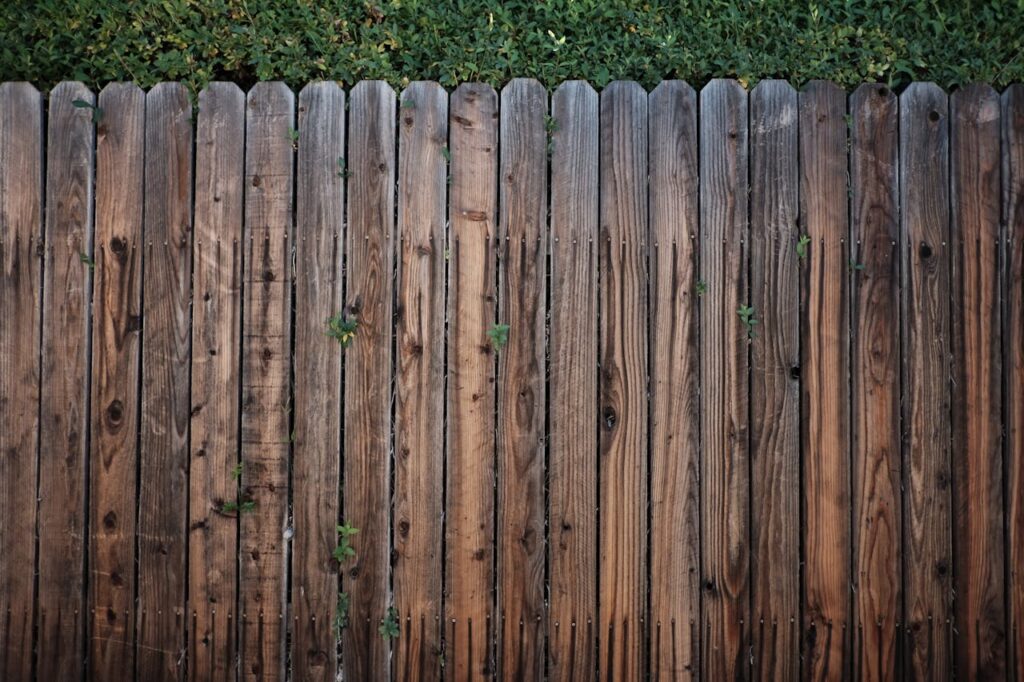 Behind the Fence and Screen: The Surprising Truth About First Impressions You Never Knew