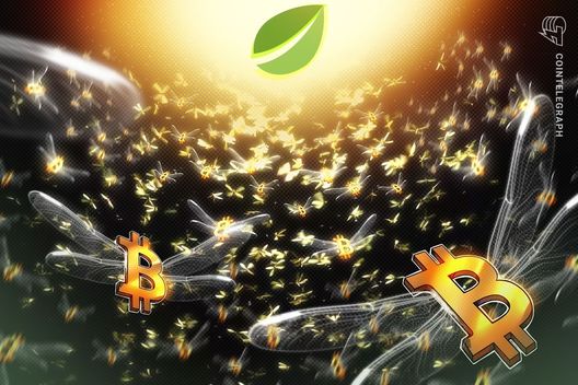 Bitfinex Bitcoin Longs Surge to 2-Year Peak—Is the $100K Rally Just Around the Corner?