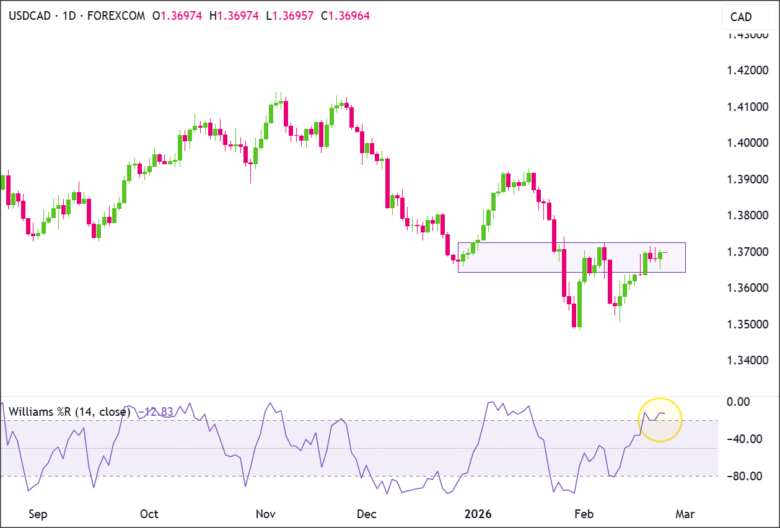 USD/CAD Hits Critical Resistance as Williams %R Sparks Overbought Alarm—Is a Major Reversal Imminent?