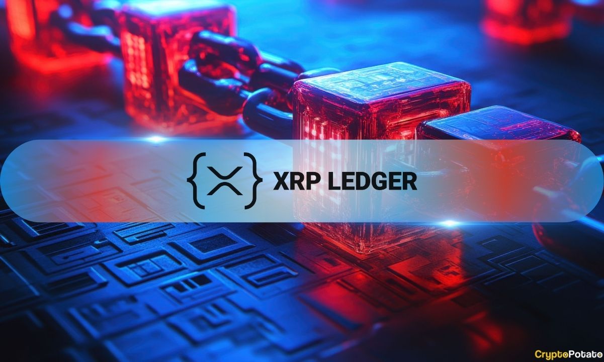 XRPL Metrics Plunge 80%: Is XRP on the Brink of a Major Price Shock?