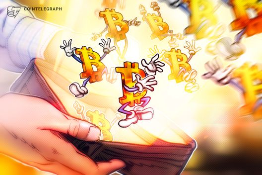 Bitcoin Wallets Hoard 4.37M BTC: Is a Monumental Bull Run About to Ignite?
