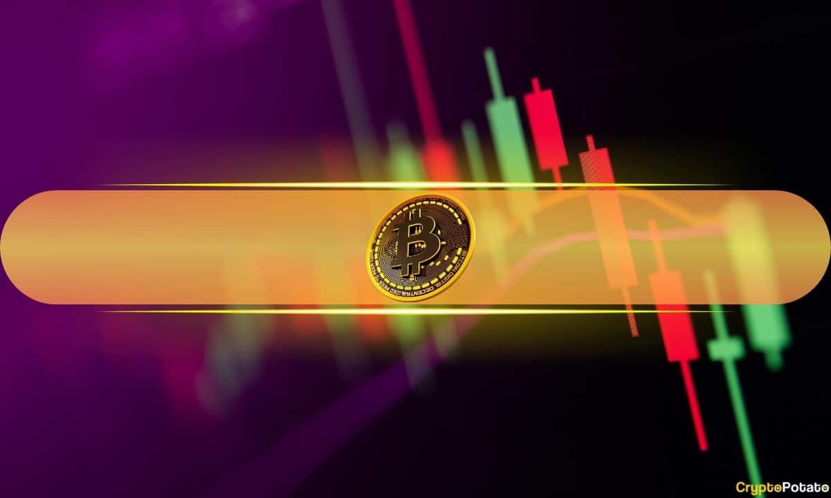 BNB Surges Past XRP Once More While Bitcoin’s $67K Barrier Crumbles – What’s Next?