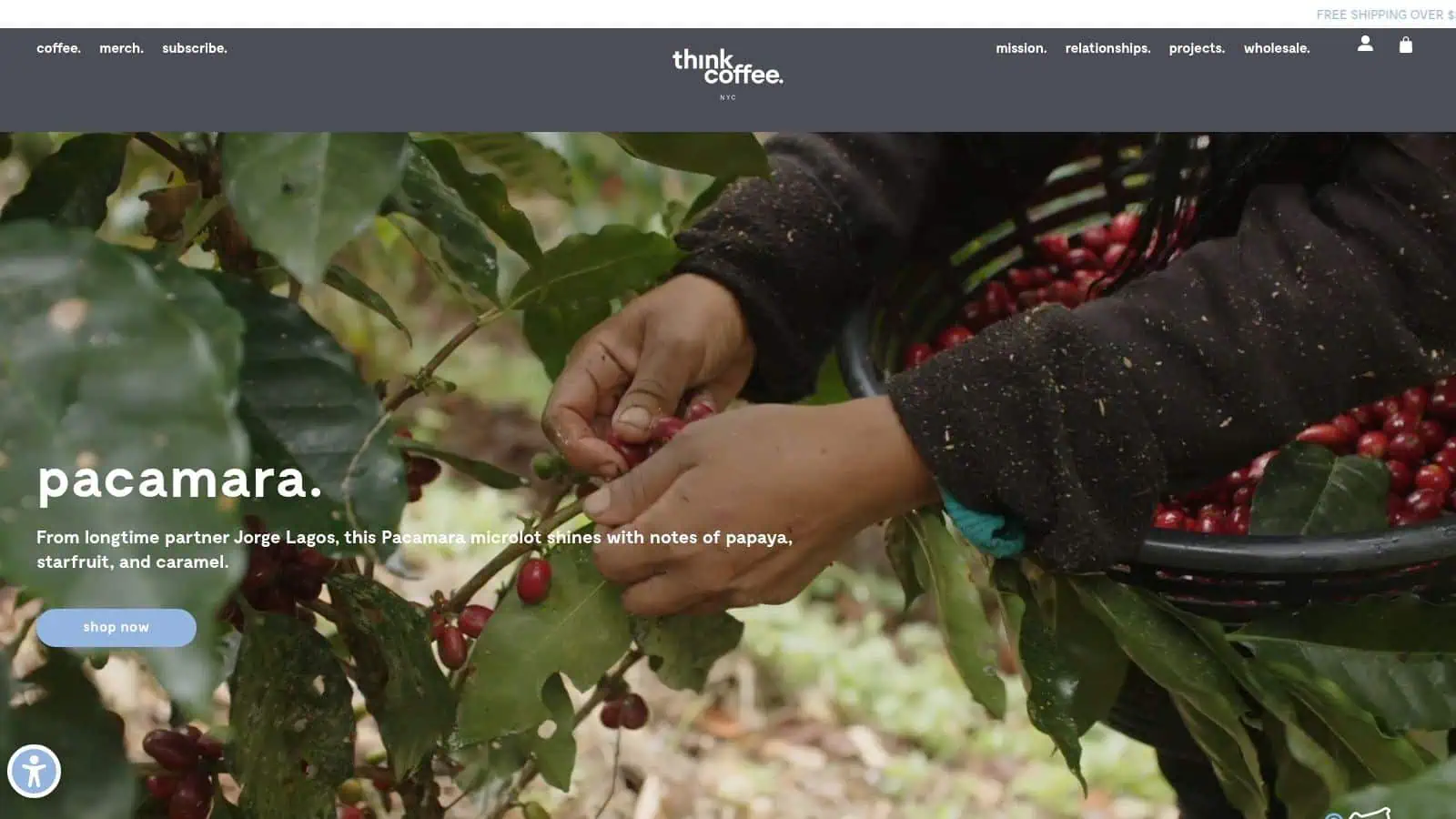 Discover NYC’s Hidden Work Cafes Where Productivity Soars in 2026—#3 Will Surprise You!