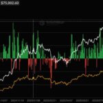 Goldman Sachs’ Secret Bitcoin ETF Move Signals a Game-Changing Shift in Wall Street’s Crypto Strategy