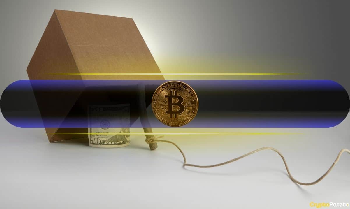 Is Bitcoin's Soaring Rally a Deadly Illusion? Analyst Warns of Imminent Crash!