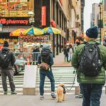 Revealed: The Shocking Vehicles and Deadliest Days Driving a Surge in Pedestrian Deaths