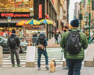 Revealed: The Shocking Vehicles and Deadliest Days Driving a Surge in Pedestrian Deaths