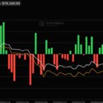 Bitcoin Surges Past $80,000—Why Are Experts Staying Cautiously on the Sidelines?