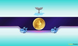 Ethereum Whales Silent but Active: What Hidden Move Could Ignite ETH's Next Big Surge?