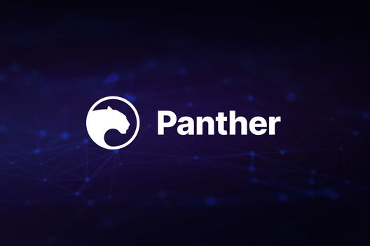 Panther Protocol Unveils Game-Changing Privacy Layer on Polygon—Is This the Future of Blockchain Security?