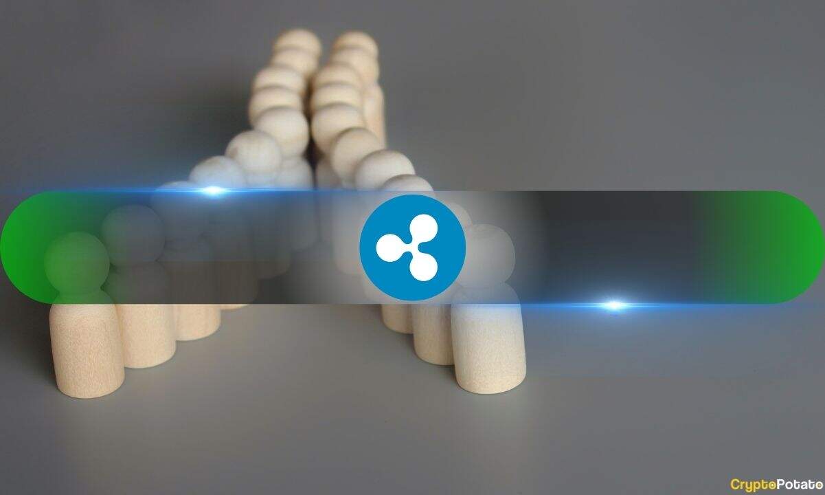 Why Is XRP Ledger Booming While XRP Price Tumbles? Messari Reveals Surprising Insights
