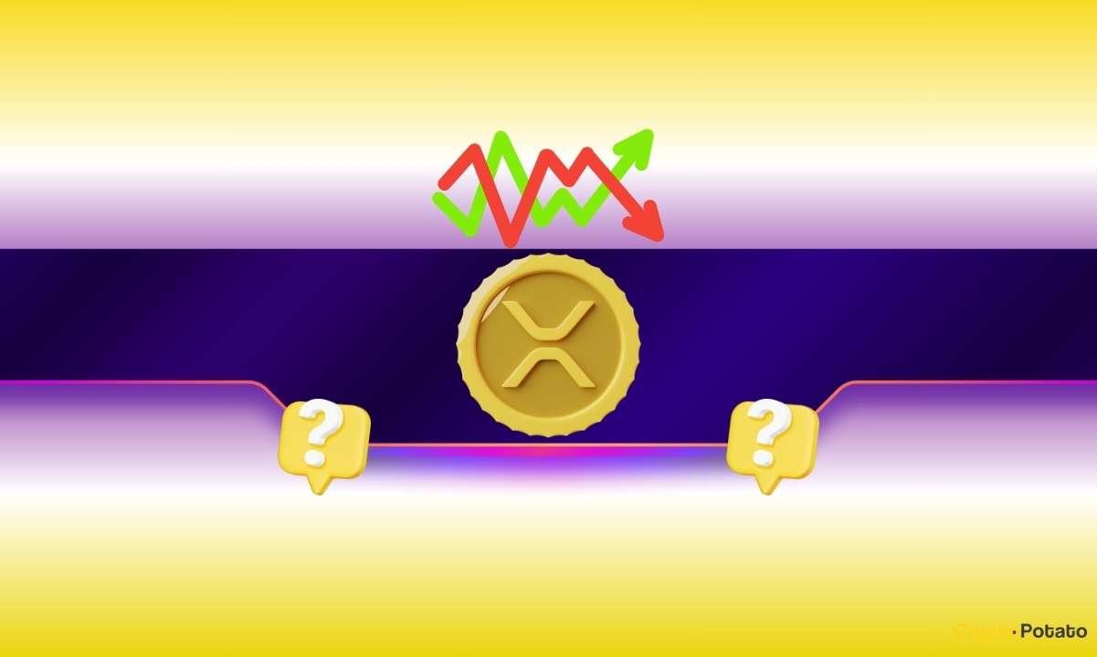 XRP on the Edge: Is This the Calm Before a Historic Crypto Surge?