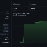 Is mNav the Hidden Threat That Could Crash Bitcoin’s Price?