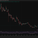 Shiba Inu at a Crossroads: Will SHIB’s Key Support Spark a Massive Rally or a Sudden Crash?
