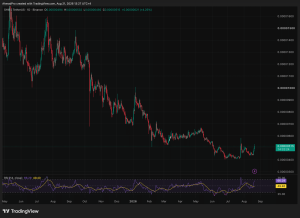 Shiba Inu at a Crossroads: Will SHIB’s Key Support Spark a Massive Rally or a Sudden Crash?