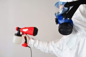 The Shocking Truth About Hiring Mold Remediation Experts You Can’t Afford to Ignore