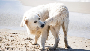 Why Most Brands Fail: The Shocking Truth About Your Marketing Goals