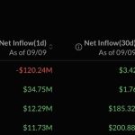 XRP ETFs Surge Again Amid Bitcoin Outflows—Is This the Shift Crypto Investors Didn’t See Coming?