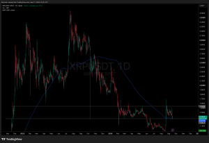 XRP Holders Face a Crucial Crossroad: Is Now the Moment to Cash Out or Hold Tight?