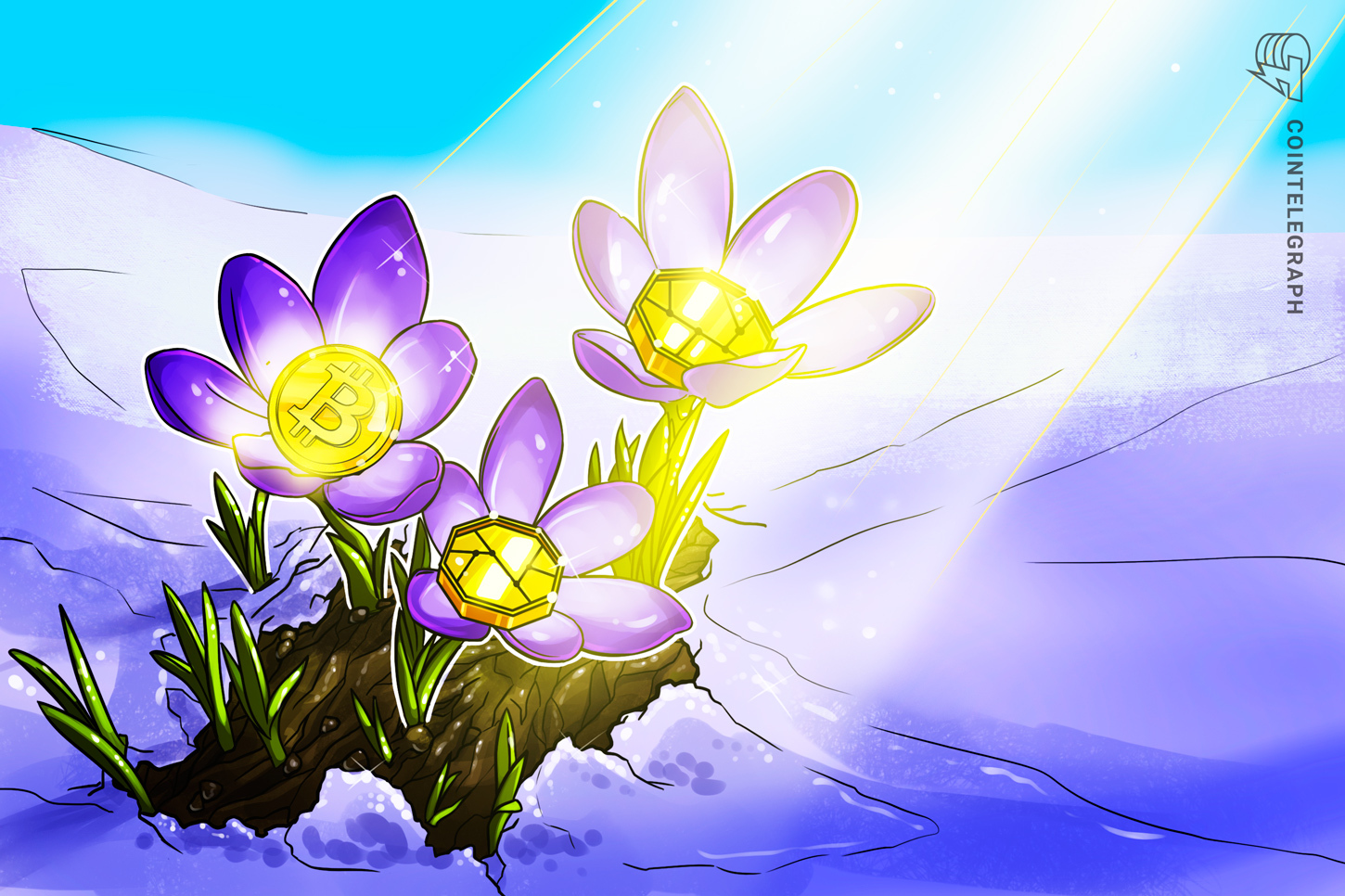 Bitwise’s Hougan Reveals Q3 Crypto Charts Hint at an Unstoppable ‘Crypto Spring’ Surge—Are You Ready?