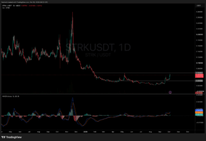 Will STRK’s Fate Hinge on the Critical $0.05 Support—A Breakout or Breakdown Looms?